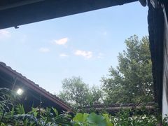 -院子餐厅·大锅菜·老杭帮(桥西直街店)