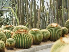 -深圳仙湖植物园-停车场