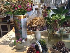 -一杯海(国际海水浴场店)