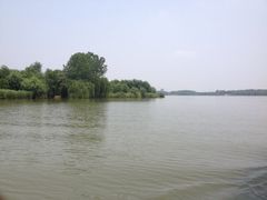 iphone_upload_pic-溱湖国家湿地公园