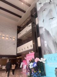 -重庆安琪儿妇产医院-妇幼保健联盟医院