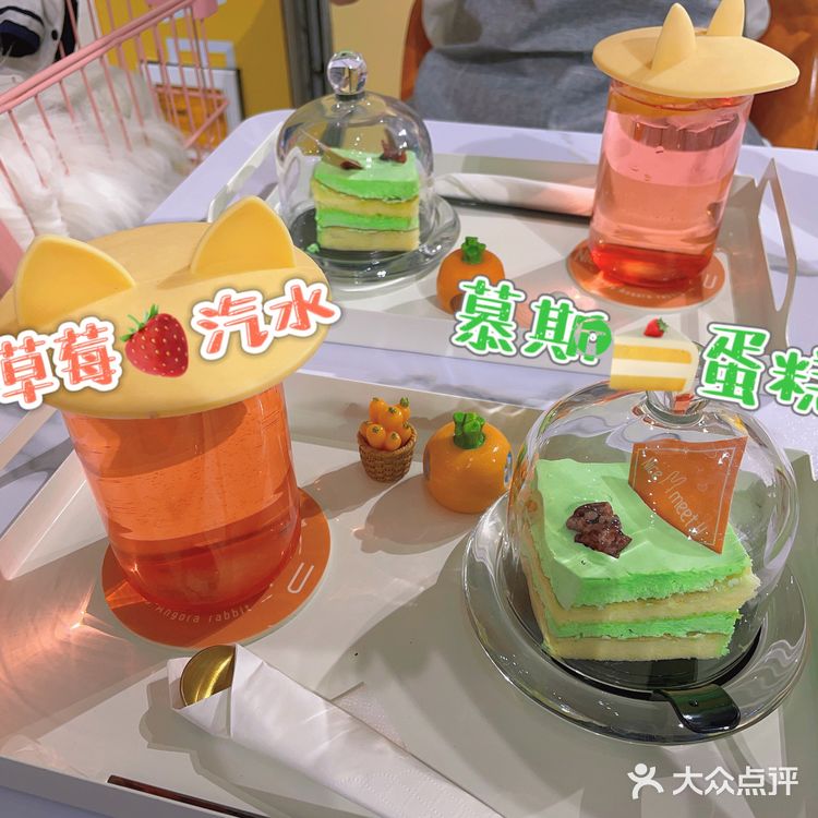 郑州探店｜Nice to meet U🐰爱玩萌兔体验馆