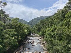 -海南热带雨林国家公园吊罗山景区