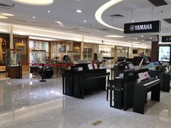 -知音艺术教育培训·钢琴培训·音乐培训(河西金鹰世界校区)