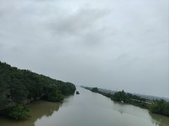 -大湾区中央湿地公园