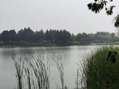 -尚贤河湿地