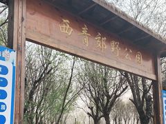 -西青郊野公园