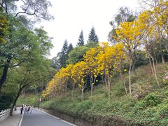 -广州市白云山风景名胜区