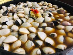 -顺德哥卜卜贝(旗舰店)