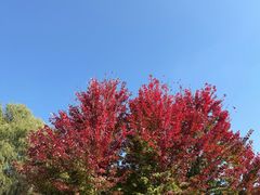 -沈阳市东陵公园