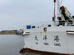 -吕四渔港码头海鲜餐厅