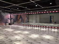 -STUDIO E POLE DANCE