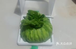 Special Mongolian Yurt