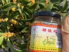 -苏州市吴中区光福窑上花果蜜饯厂