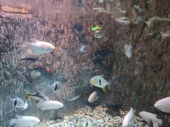 -多彩贵州城极地海洋世界