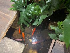 -邈墨茶馆(大兜路1号店)