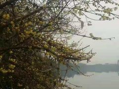 -三圣花乡旅游区