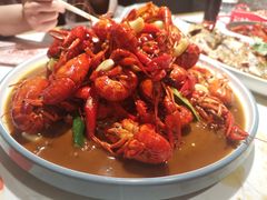 -杨氏青龙虾·羊蝎子(金盛路总店)