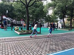 -苏州河梦清园环保主题公园