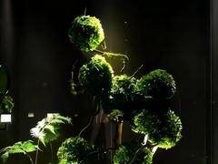 -唐宫足道·SPA·影院会馆(木渎店)