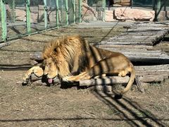 -鄂尔多斯野生动物园