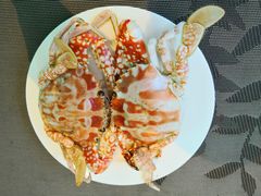 -瑞德姆美人鱼海底演艺主题餐厅(亚龙湾店)