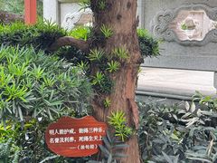 -香积寺