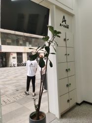 -I+造型烫发染发