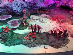 -沈阳海洋探索中心