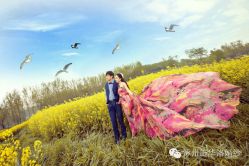 -施华洛婚纱摄影会所(范阳中路店)