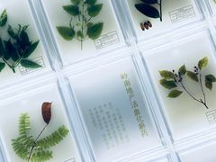 -广东中医药博物馆