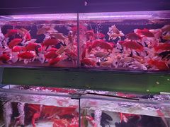 -华声天桥民俗文化园