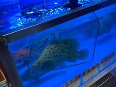 -協成海鮮火鍋(老店)