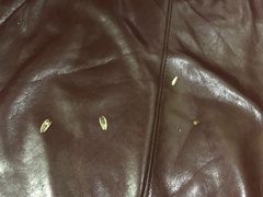 -牧歌商务公馆(南门店)