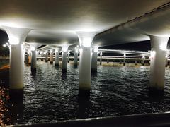 -演武大桥观景平台