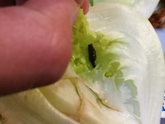 -爱客得牛排海鲜烤肉·火锅自助(春熙路黑金好店)