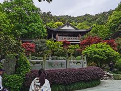 -十八棵（老龙井）御茶园(老龙井店)