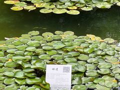 -静安公园(静安寺街道)