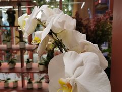 -二酉书店TOYOU BOOKS