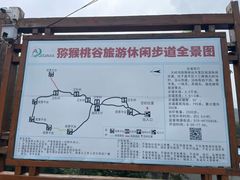 -大岭沟猕猴桃谷风景区