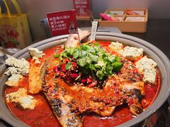 -师烤·豆花烤鱼(广州荔湾扬韬广场店)