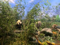 -陕西自然博物馆