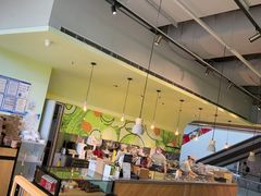 -油梨树AVOCADO TREE(望京店)