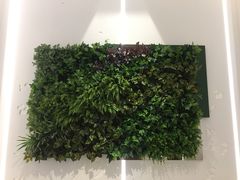 -花园5號餐厅