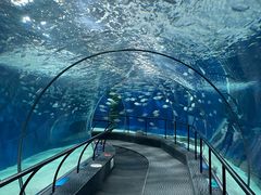 -上海海洋水族馆