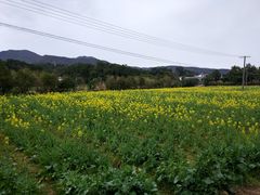 -韶山毛泽东同志故居