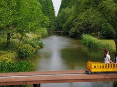 -上海滨江森林公园