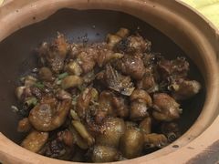沙姜鸡煲-大家乐酒家(荔福路店)