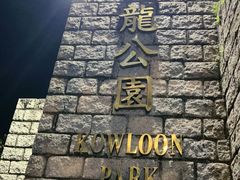 -九龙公园