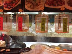 -闯关东东北农家菜(崂山石老人店)